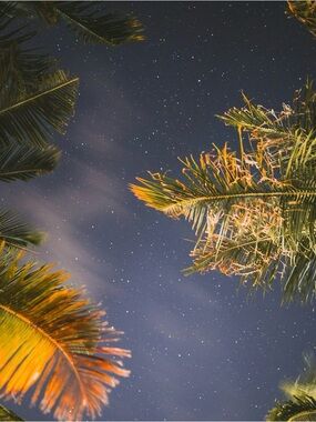 Thank you for shopping! 🤍